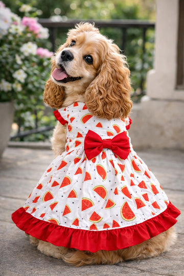 Watermelon Dress