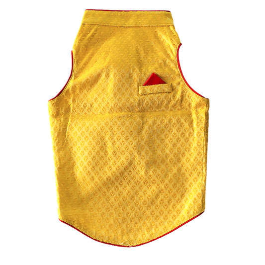 Yellow-brocade Sherwani