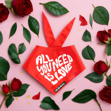 All You need is Love Pet Bandana