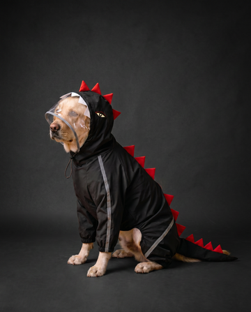 Black Dino Raincoat
