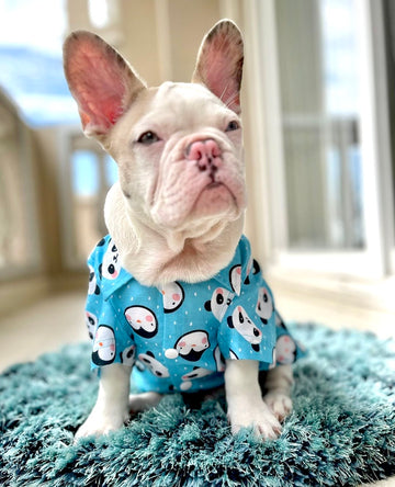 Blue Panda Shirt