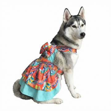 Hawaii Printed Frock