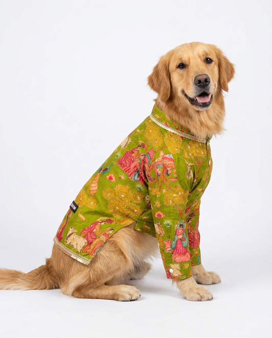 Golu Gangster Kurta