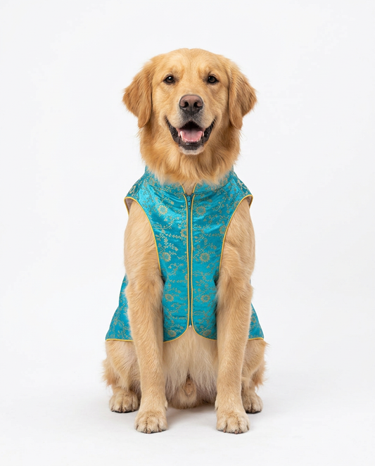 Fomo Momo Sherwani