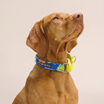 Monster Print Martingale Collar (1.5 inch width)