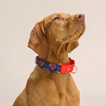 Hearty Blue print Martingale Collar (1.5 inch width)