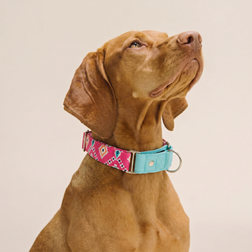 Teal-Pink Aztec Martingale Collar (1.5 inch width)
