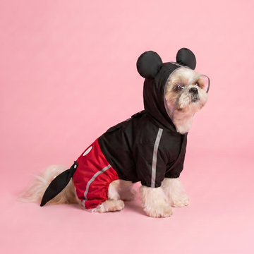 Mickey Mouse Raincoat