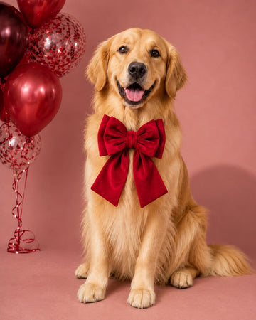 Red Velvet Sash Bow