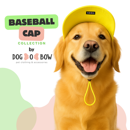 Yellow Baseball Cap