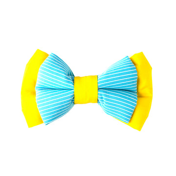 Aquafire Stripe Neck Bow