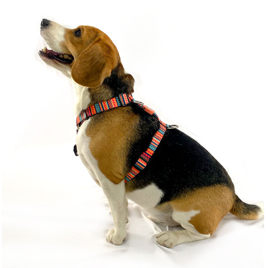 Aztec Print H-Harness