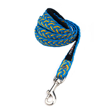 Blue-Yellow Braid Leash