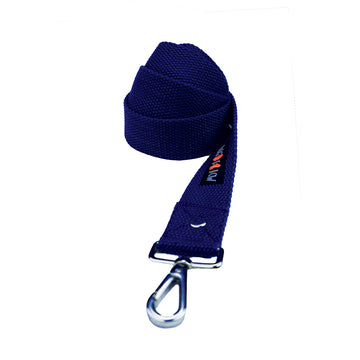 Plain Blue Leash