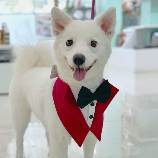 Red Velvet Tuxedo Vest Bandana