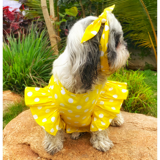 Yellow Polka Dot Shirt Frock